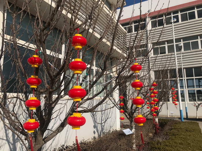 烟台马博平台_马博（中国）一站式服务平台化工恭祝大家2021牛年行大运